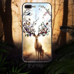 Elktglasscase01