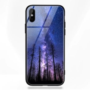 Forestglasscase01